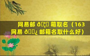 网易邮 🦄 箱取名（163网易 🌿 邮箱名取什么好）